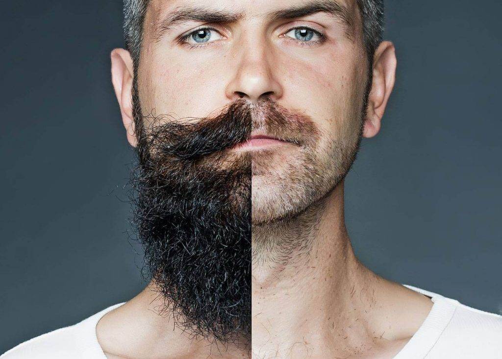 Выбор бороды по типу лица: какая борода подойдет лично вам?