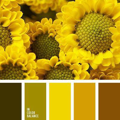 Бледно-желтый цвет и сочетание с ним | lookcolor