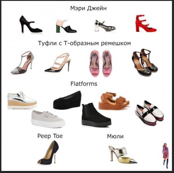 Виды обуви – классификация, варианты с каблуками и без них