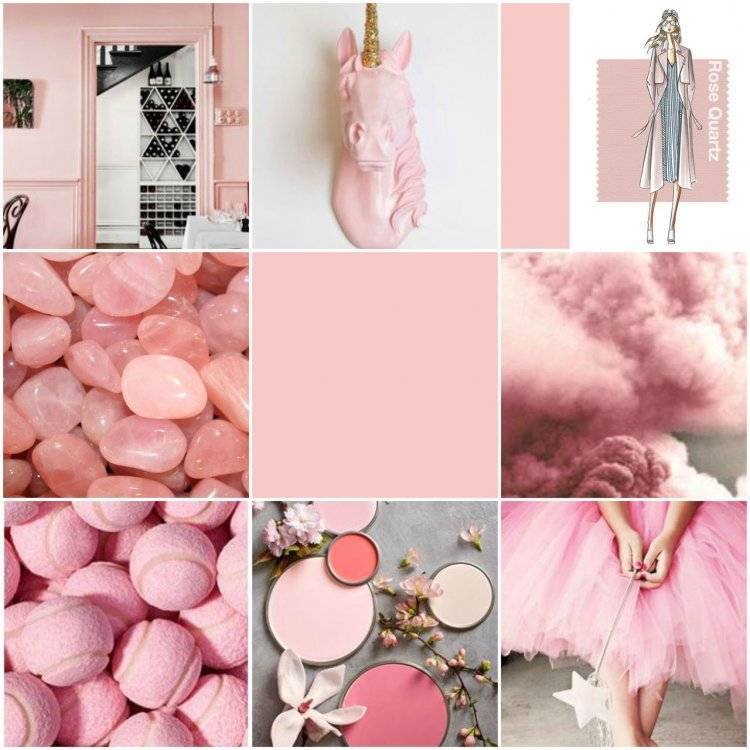 Светло-розовый цвет и его сочетание | lookcolor