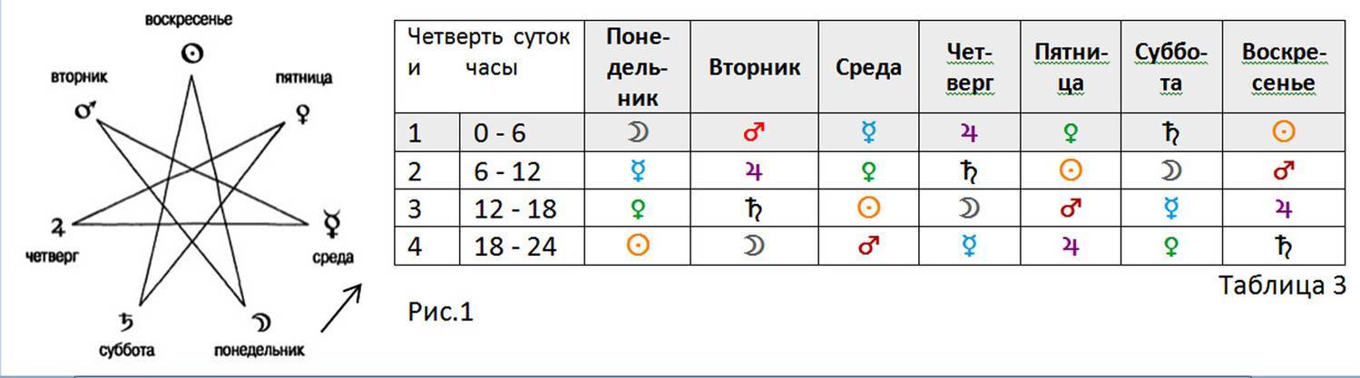 15 суток недели сутки