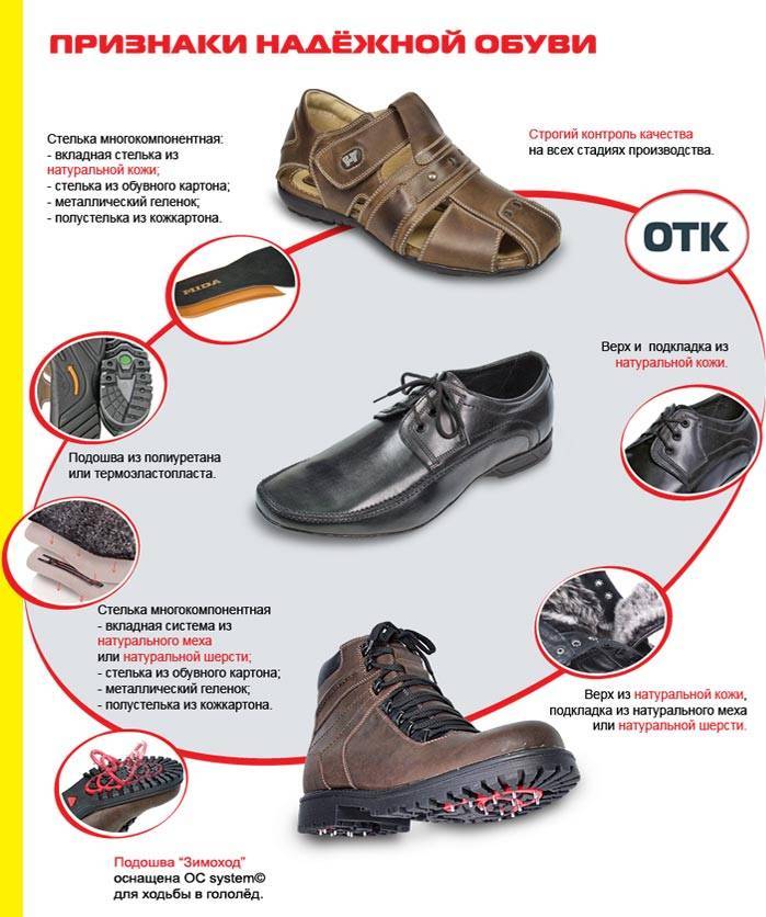 Классификация кроссовок по видам, популярные производители этой обуви