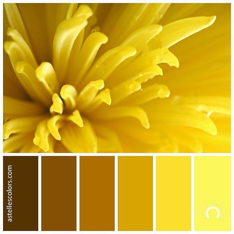 Сочетание желтого цвета в таблицах. фото | lookcolor