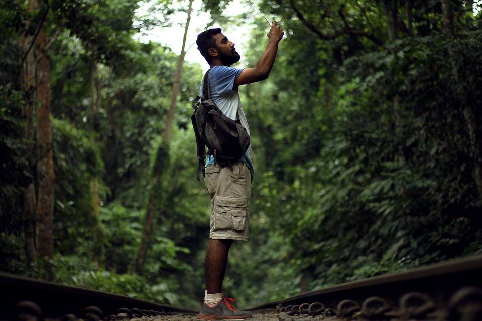 Выживание в лесу и в джунглях без всего: советы и правила