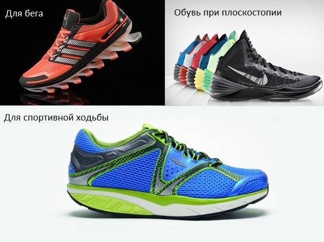 Какой должна быть спортивная обувь