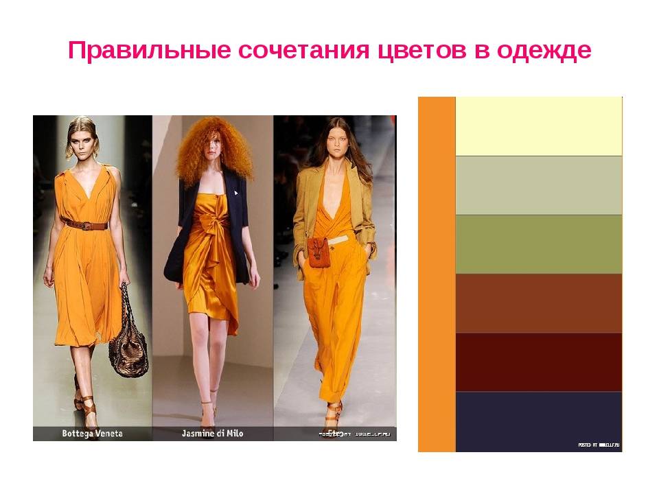 Правильное сочетание цветов в одежде :: syl.ru