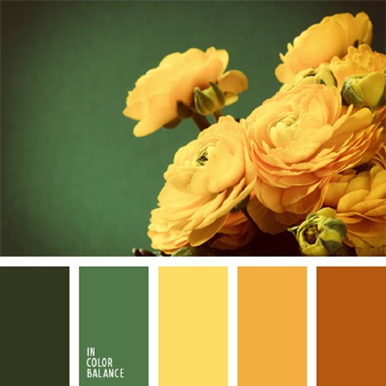 Цвета для цветотипа зима | lookcolor