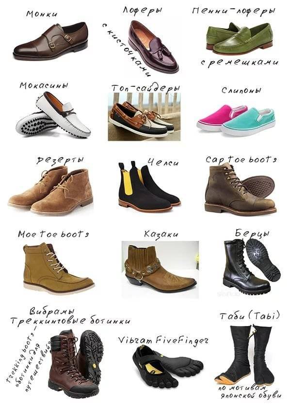 Все виды обуви, список с фото: мужская и женская обувь от а до я