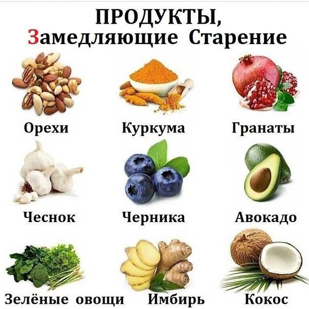 Нутригеронтология: питание vs. старение