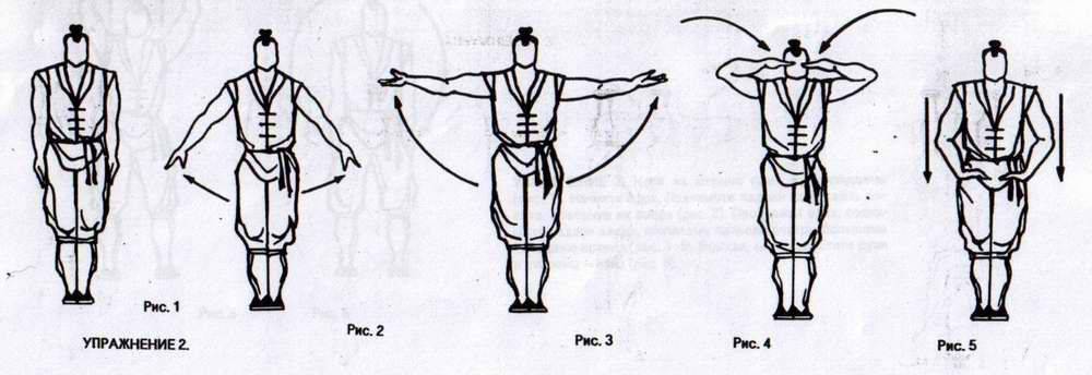 Читать книгу цигун – китайская гимнастика для здоровья. современное руководство по древней методике исцеления юнь лун : онлайн чтение - страница 1