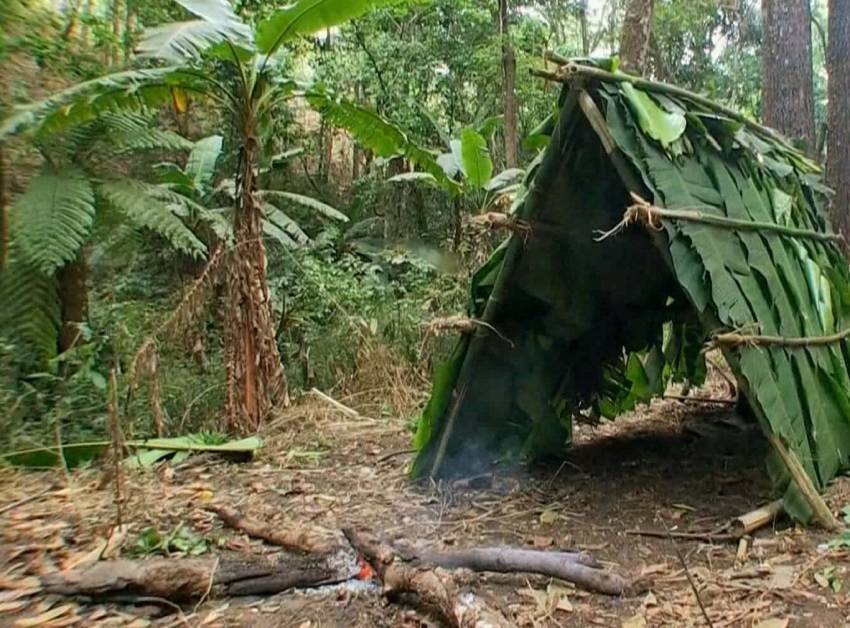 Как выжить в джунглях: руководство для искателей приключений