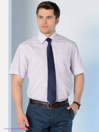 Сочетаются ли галстук и рубашка  коротким рукавом: в каких случаях носят подобные комбинации?