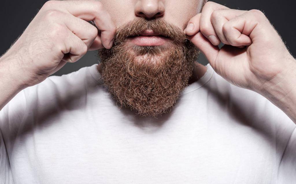 «бородатый» пост: как отрастить красивую бороду по фен-шую?
