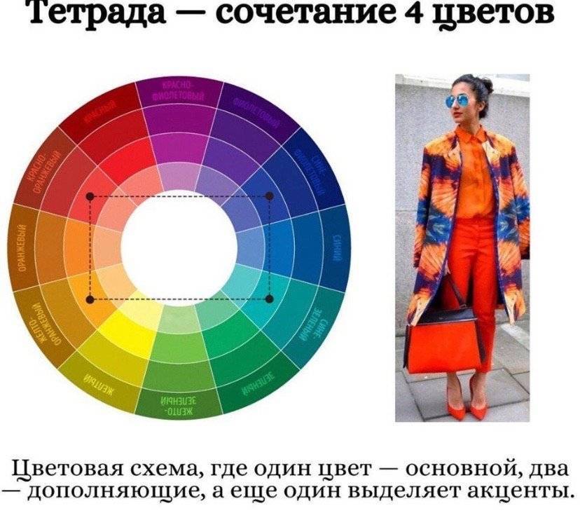Как правильно сочетать цвета в образе – теория «цветового круга»