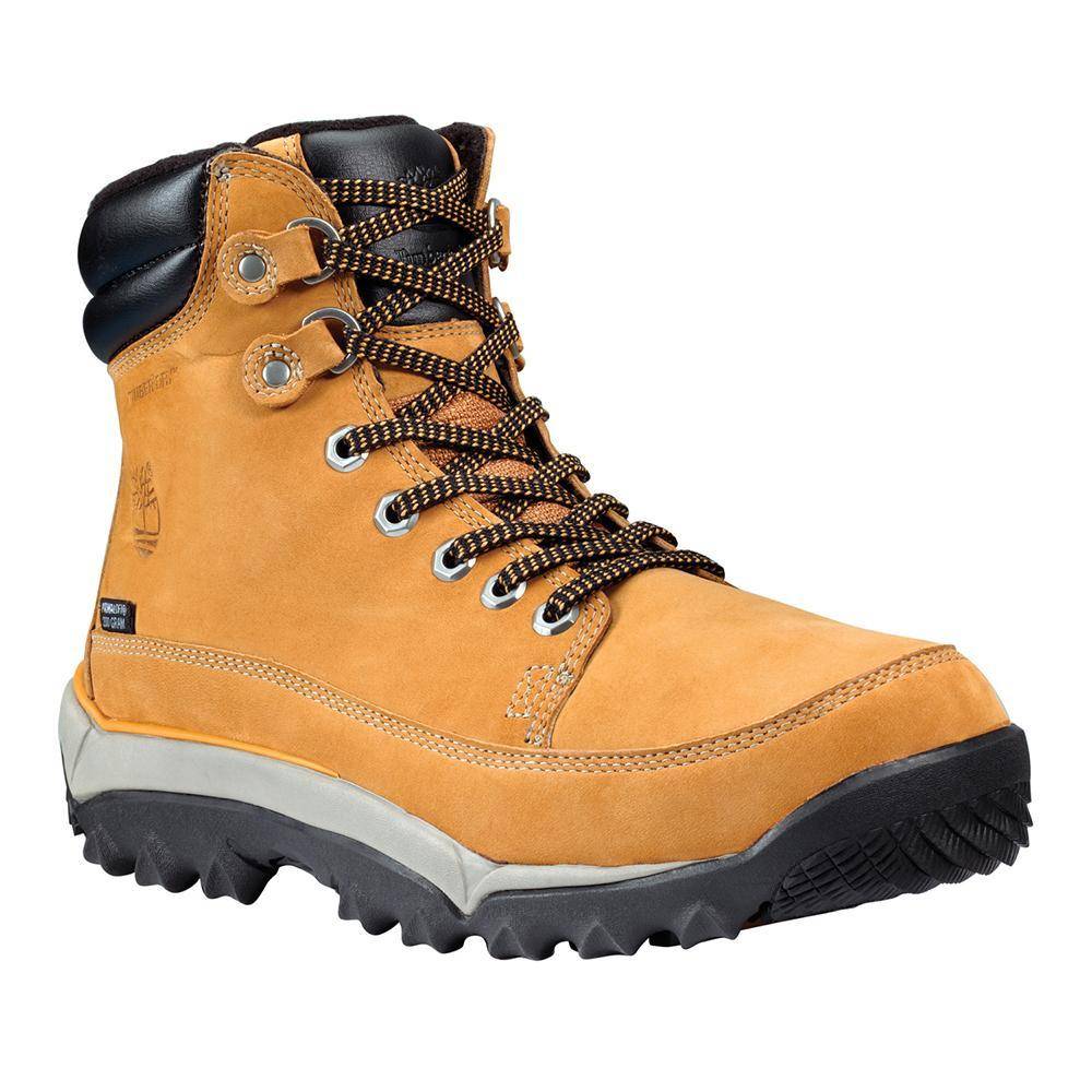 Обувь тимберленд мужские. Timberland Earthkeepers Rime Ridge Mid Waterproof. Ботинки тимберленд Rime Ridge. Timberland ботинки Primaloft. Timberland men's Rime Ridge Premium Waterproof Snow Boot.