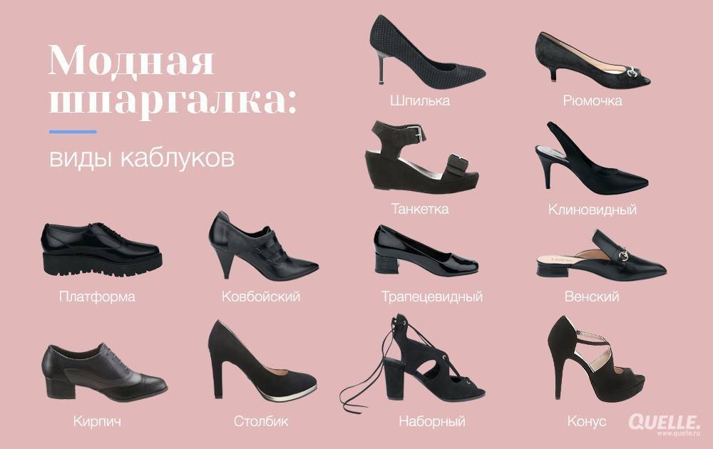 Все виды каблуков женской обуви, список с названиями и фото